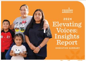 Elevating Voices: Insights Report 2024